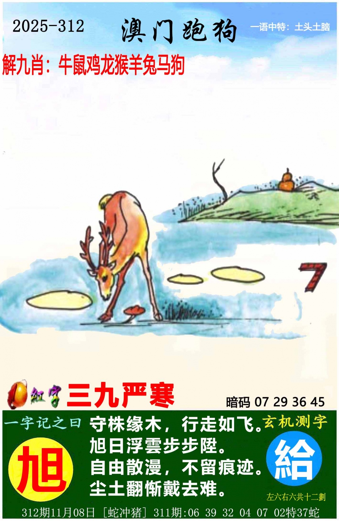 915026a8fd7010b5.jpg (1000×750)